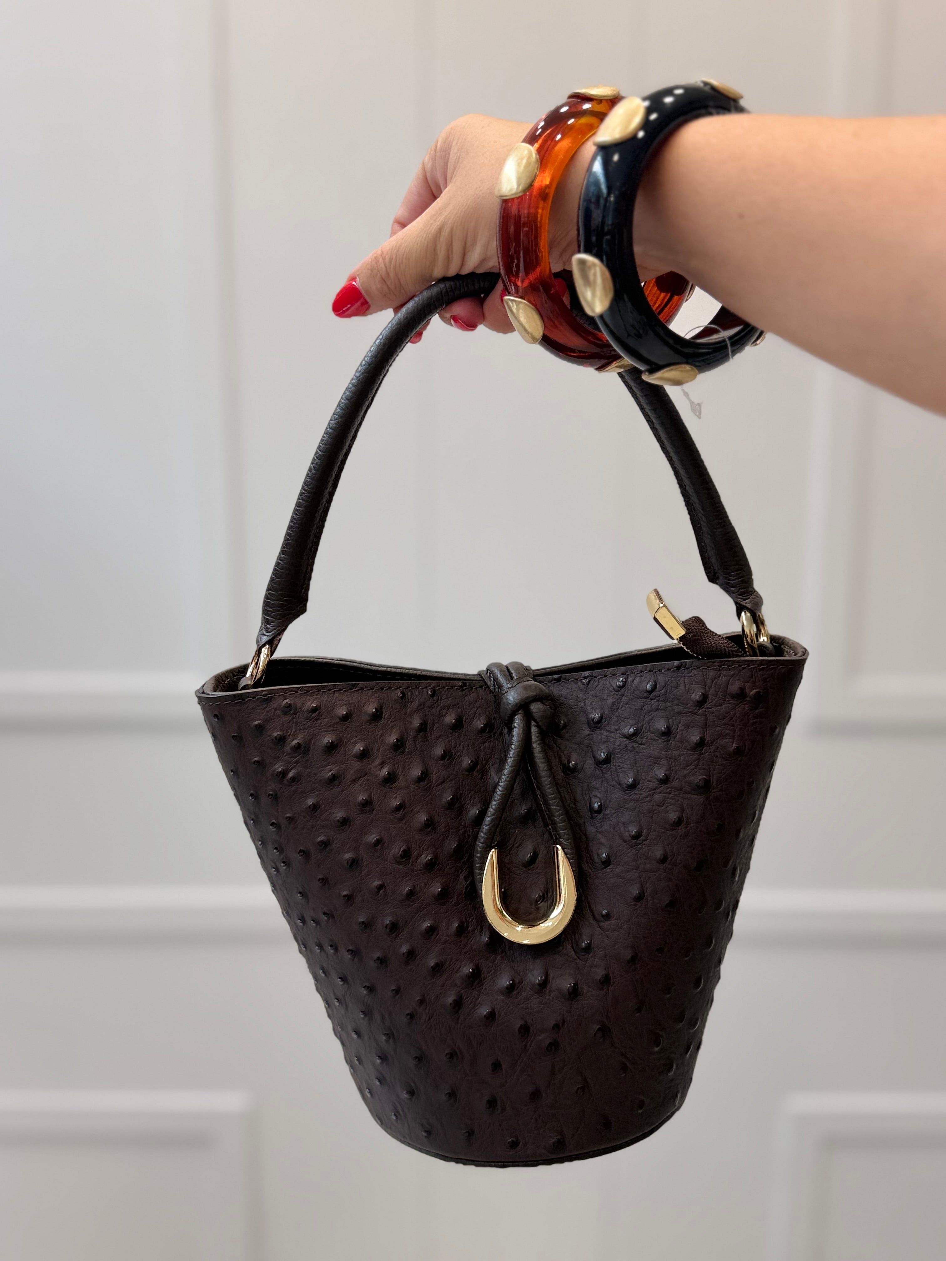 Bolso Mieres