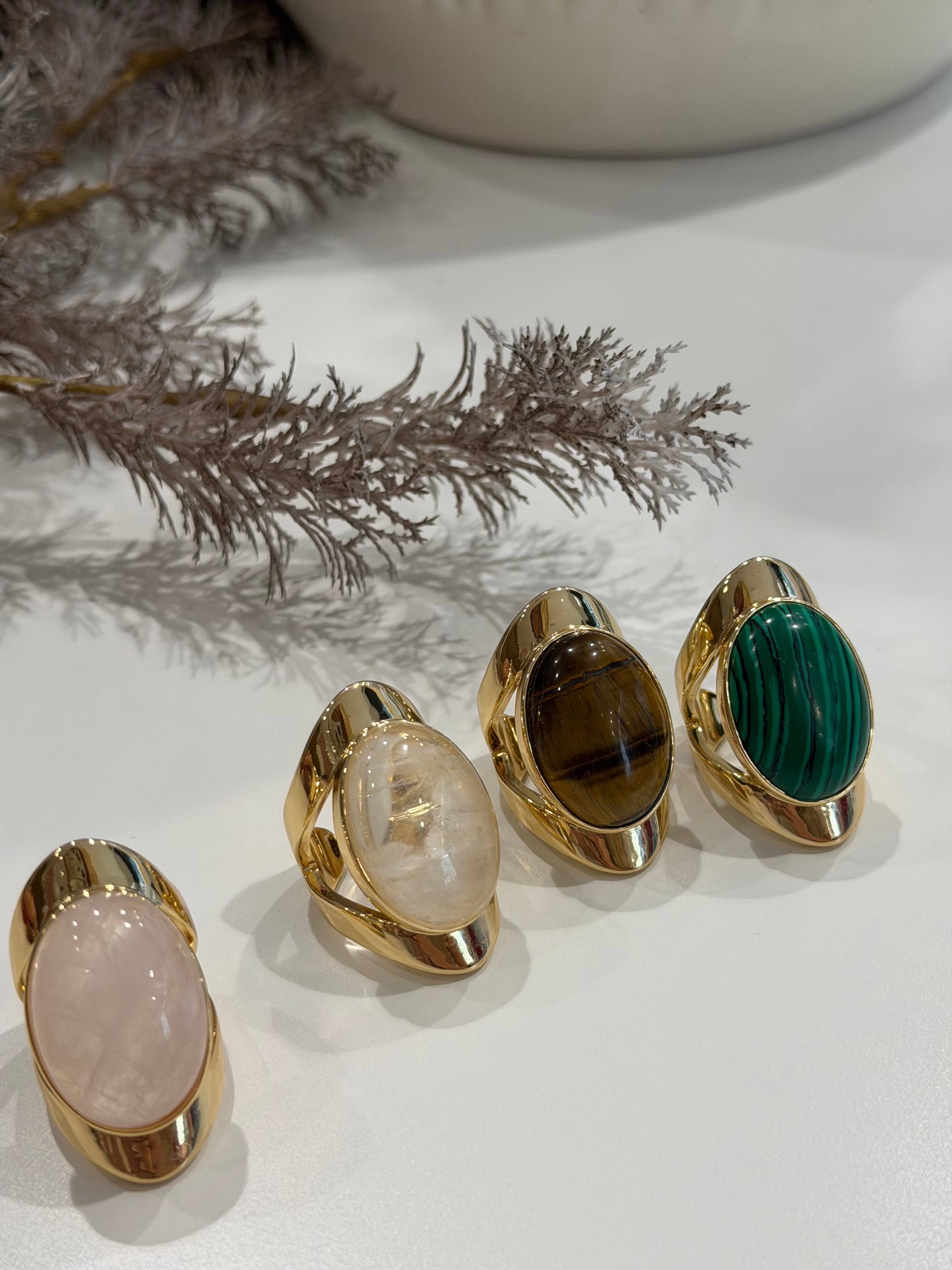 Anillo Celis