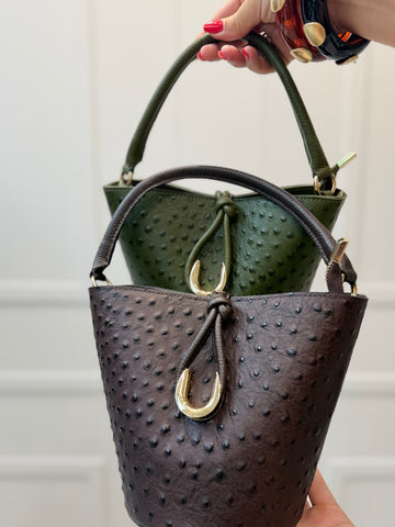 Bolso Mieres